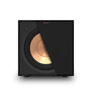 R-101SW Subwoofer